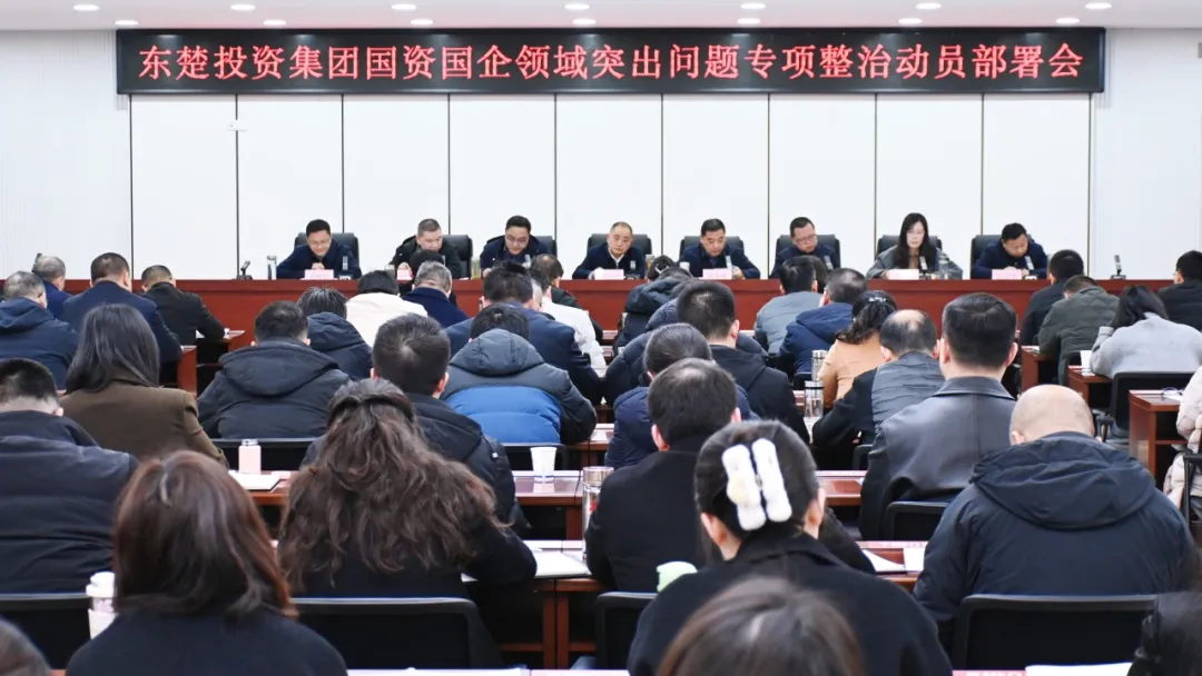 东楚投资集团召开国资国企领域突出问题专项整治动员部署会